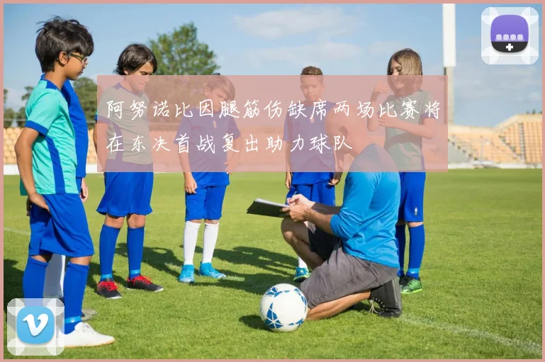 阿努诺比因腿筋伤缺席两场比赛将在东决首战复出助力球队