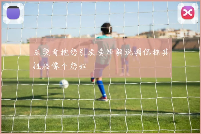 东契奇抱怨引发黄蜂解说调侃称其性格像个怨妇